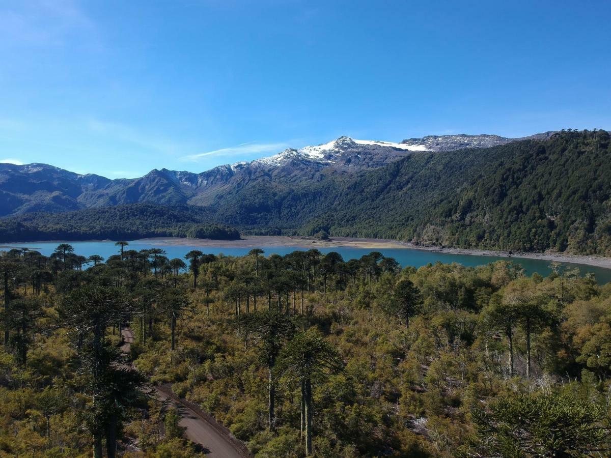 Antu Mahuida Domos Y Habitaciones Melipeuco Esterno foto