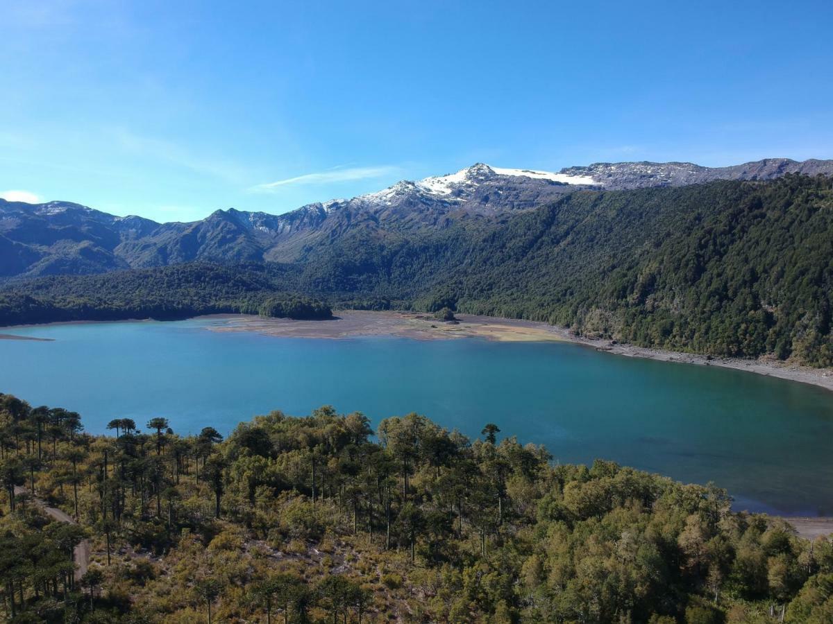 Antu Mahuida Domos Y Habitaciones Melipeuco Esterno foto